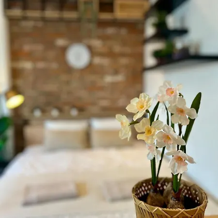 Adm Cozy In Center - Netflix, Coffee, Ac *